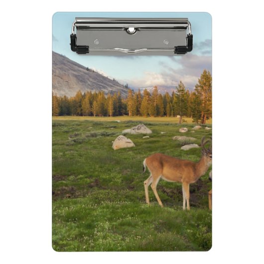 Tuolumne Meadow, Yosemite Mini Klembord (Voorkant)
