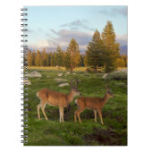 Tuolumne Meadow, Yosemite Notitieboek (Voorkant)