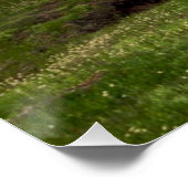 Tuolumne Meadow, Yosemite Poster (Hoek)