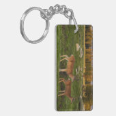 Tuolumne Meadow, Yosemite Sleutelhanger (Voorkant Links)