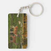 Tuolumne Meadow, Yosemite Sleutelhanger (achterkant)