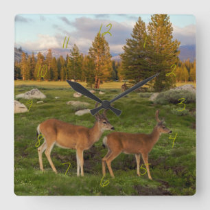 Tuolumne Meadow, Yosemite Vierkante Klok