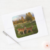 Tuolumne Meadow, Yosemite Vierkante Sticker (Envelop)
