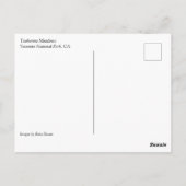 Tuolumne Meadows, Yosemite, CA-Briefkaart Briefkaart (Achterkant)