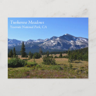 Tuolumne Meadows, Yosemite, CA-Briefkaart Briefkaart