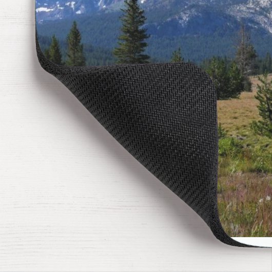 Tuolumne Meadows, Yosemite, CA Muismat (Hoek)