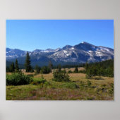 Tuolumne Meadows, Yosemite, CA Poster (Voorkant)