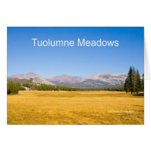 Tuolumne Meadows Yosemite California Products