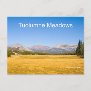 Tuolumne Meadows Yosemite California Products Briefkaart