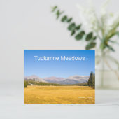 Tuolumne Meadows Yosemite Nederland Producten Briefkaart (Staand voorkant)