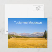Tuolumne Meadows Yosemite Nederland Producten Briefkaart (Voorkant / Achterkant)