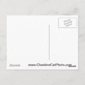 Tuolumne Meadows Yosemite Nederland Producten Briefkaart (Achterkant)