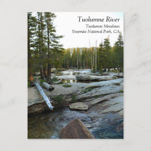 Tuolumne River by Campground, Yosemite, CA Postcar Briefkaart