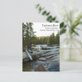 Tuolumne River by Campground, Yosemite, CA Postcar Briefkaart (Staand voorkant)