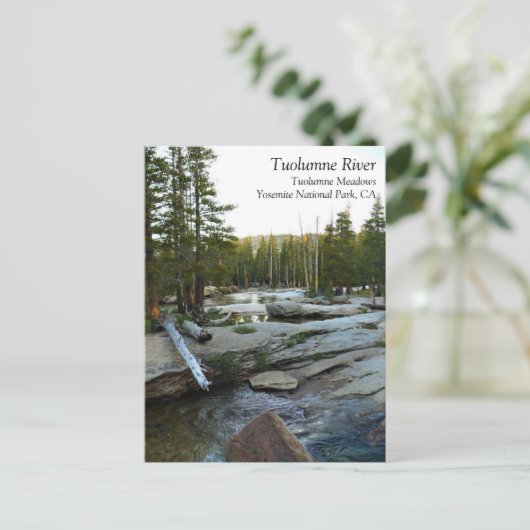 Tuolumne River by Campground, Yosemite, CA Postcar Briefkaart (Staand voorkant)