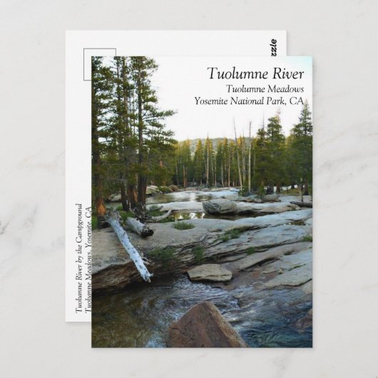 Tuolumne River by Campground, Yosemite, CA Postcar Briefkaart (Voorkant / Achterkant)