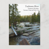 Tuolumne River by Campground, Yosemite, CA Postcar Briefkaart (Voorkant)