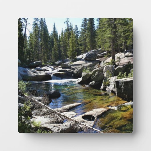 Tuolumne River in de Tuolumne Meadows, Yosemite, C Fotoplaat (Voorkant)
