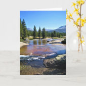 Tuolumne River in de Tuolumne Meadows, Yosemite, C Kaart (Gele Bloem)