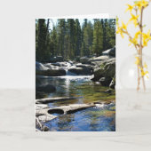 Tuolumne River in de Tuolumne Meadows, Yosemite, C Kaart (Gele Bloem)