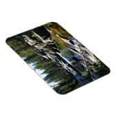 Tuolumne River in de Tuolumne Meadows, Yosemite, C Magneet (Rechterzijde)