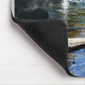 Tuolumne River in de Tuolumne Meadows, Yosemite, C Muismat (Hoek)