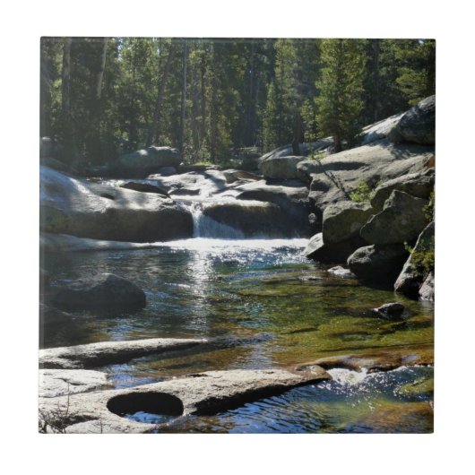 Tuolumne River in de Tuolumne Meadows, Yosemite, C Tegeltje (Voorkant)