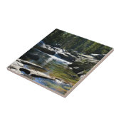 Tuolumne River in de Tuolumne Meadows, Yosemite, C Tegeltje (Zijkant)