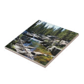 Tuolumne River in de Tuolumne Meadows, Yosemite, C Tegeltje (Zijkant)