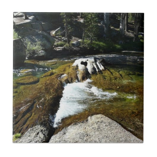 Tuolumne River in de Tuolumne Meadows, Yosemite, C Tegeltje (Voorkant)