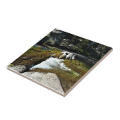 Tuolumne River in de Tuolumne Meadows, Yosemite, C Tegeltje (Zijkant)