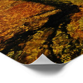 Tuolumne River, Tuolumne Meadows, Yosemite. Poster (Hoek)