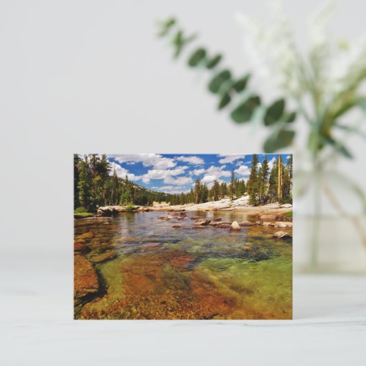 Tuolumne River, Yosemite. Briefkaart (Staand voorkant)