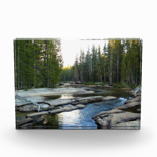 Tuolumne, rivier de Campground, Yosemite, CA Fotoblokken (Voorkant)