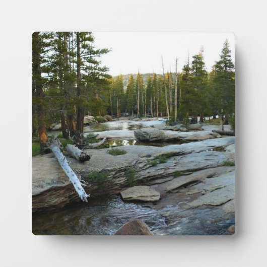 Tuolumne, rivier de Campground, Yosemite, CA Fotoplaat (Voorkant)