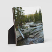 Tuolumne, rivier de Campground, Yosemite, CA Fotoplaat (Voorkant)