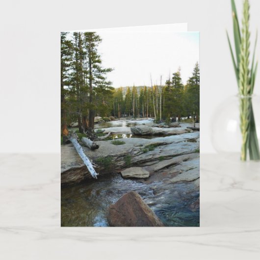 Tuolumne, rivier de Campground, Yosemite, CA Kaart (Voorkant)