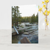 Tuolumne, rivier de Campground, Yosemite, CA Kaart (Gele Bloem)