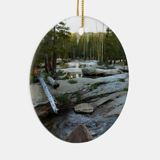 Tuolumne, rivier de Campground, Yosemite, CA Keramisch Ornament (Rechts)