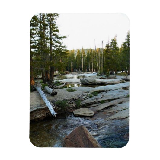 Tuolumne, rivier de Campground, Yosemite, CA Magneet (Verticaal)