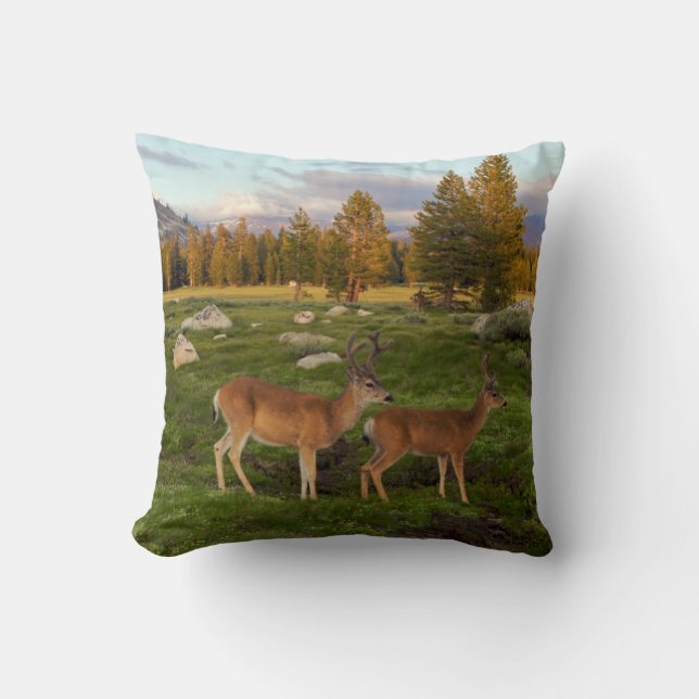 Tuolumne-weide, Yosemite Kussen (Voorkant)