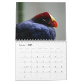 Turaco Vogel 2025 Kalender (Jan 2027)