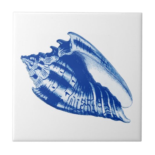 Turban Conch Shell, Indigo Blue en White Tegeltje (Voorkant)