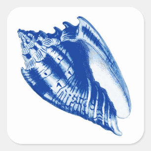 Turban Conch Shell, Indigo Blue en White Vierkante Sticker