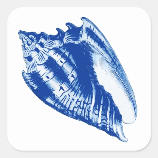 Turban Conch Shell, Indigo Blue en White Vierkante Sticker (Voorkant)
