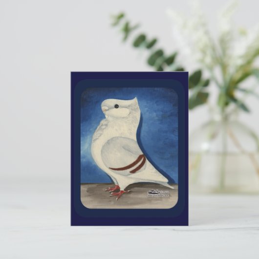 Turbit Pigeon 1979 Briefkaart (Staand voorkant)