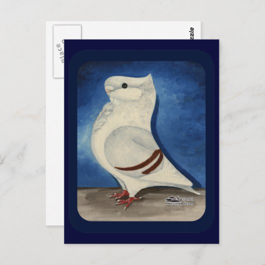 Turbit Pigeon 1979 Briefkaart (Voorkant / Achterkant)