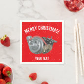 Turbocompressor Servet (Insitu)