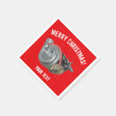 Turbocompressor Servet (Hoek)