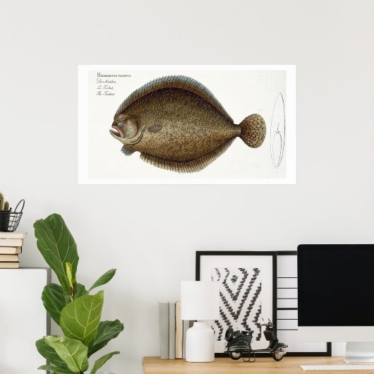 Turbot (Pleuronectes Maximus) bord XLIX uit 'Ich' Poster (Thuiskantoor)